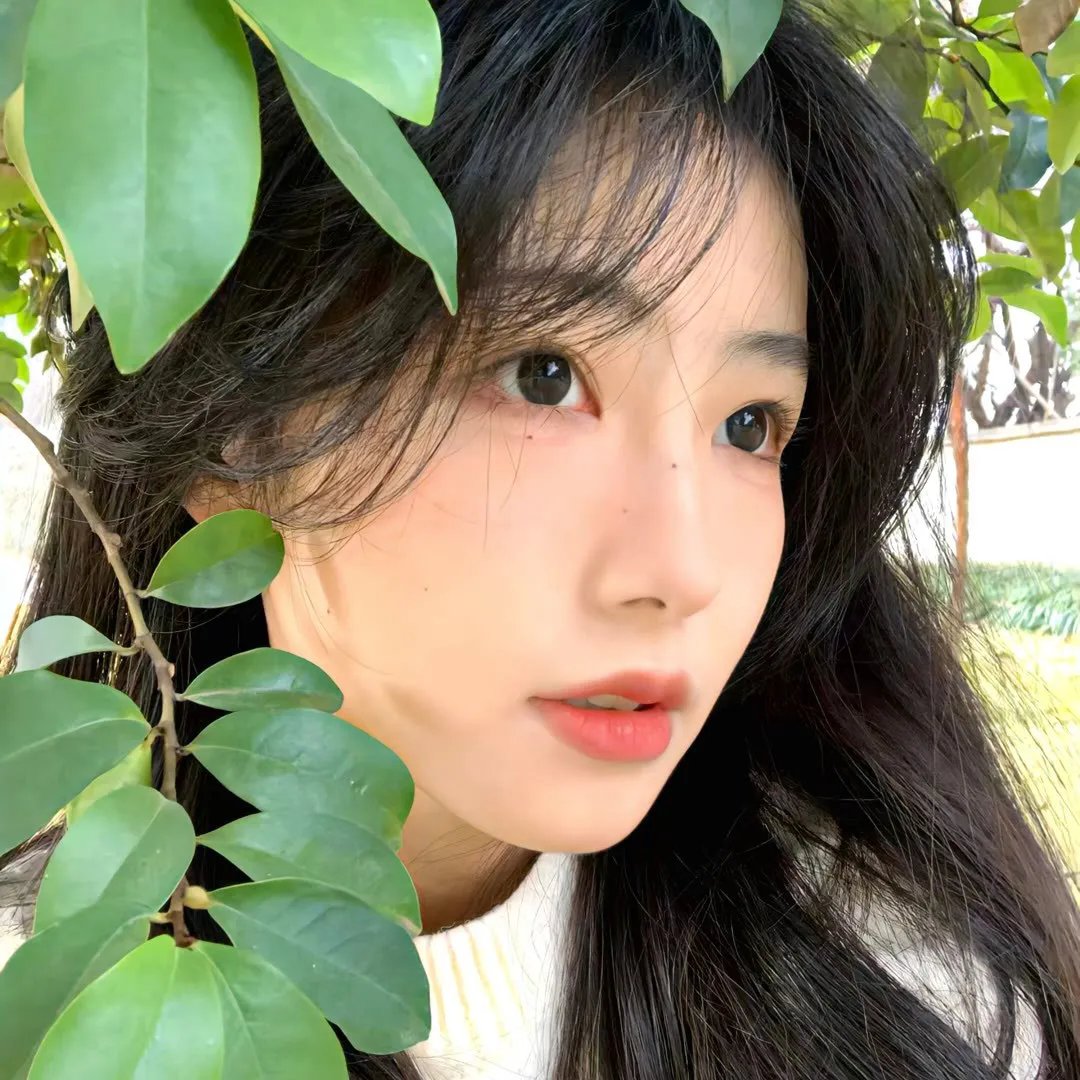 笑春风